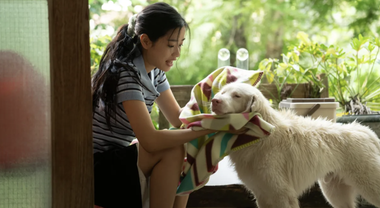 Screenshot 2569-04-17 at 12.43.36.png